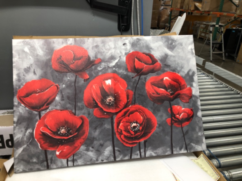 Photo 1 of 35x23 black/ white canvas with red flowers