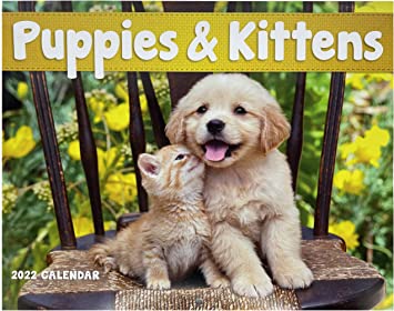 Photo 1 of Puppy and Kitten Calendar 2022 | 13 Month Wall Calendar Puppies and Kittens | Cute Cat Dog Calenders 2021-2022, Cats and Dogs Calender 2021-22, Adorable Puppy Calendars 2 pack 
