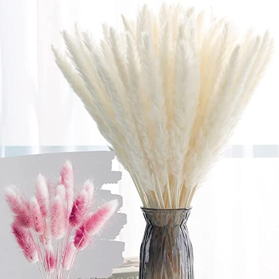 Photo 1 of 2 New Luxury Box Protected Pampas Grass Decor - 35 Pieces 17" Boho Decor, Grass Decor for Dried Pampas Grass Plants, Boho Home Decor, Pompous Grass, Pompass Grass Branches (Pearl)
