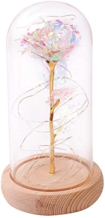 Photo 1 of  Beauty and Beast Rose Flower Galaxy Flower Rose Eternal Rose in Glass Dome with Led String Light Romantic Gift for Wedding Birthday Anniversary Beige Wooden Base