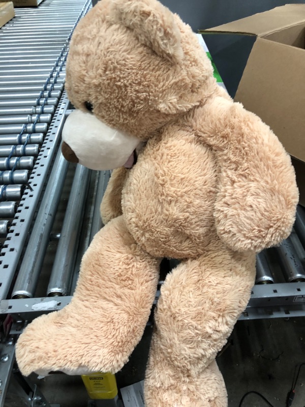 Photo 1 of 2/3ftteddybear