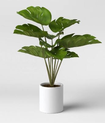 Photo 1 of 2PCKS OF 21" x 23" Artificial Monstera Arrangement in Ceramic Pot - Project 62™

