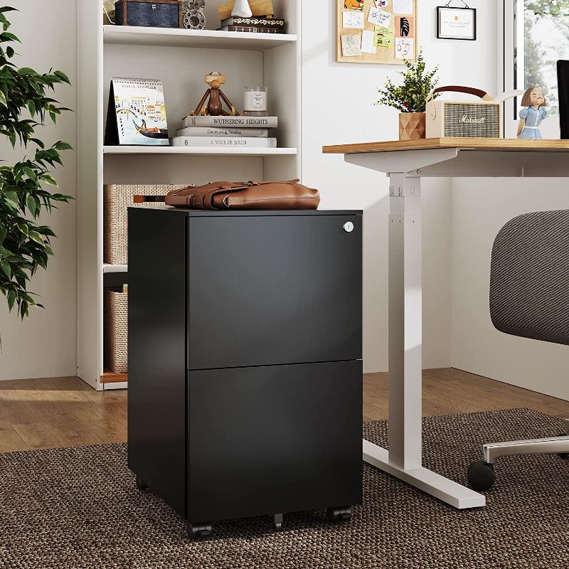 Photo 1 of DEVAISE Vertical File Cabinet with Lock, Mobile Filing Cabinet for Legal/Letter/A4 Files, Fully Assembled Except Wheels, Black
