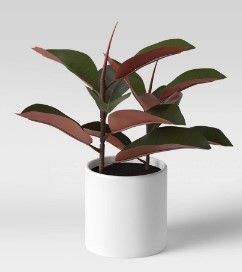 Photo 1 of 2 15" X 10" Artificial Rubber Plant in Ceramic Pot - Project 62™