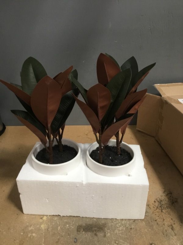 Photo 1 of 2 15" X 10" Artificial Rubber Plant in Ceramic Pot - Project 62™