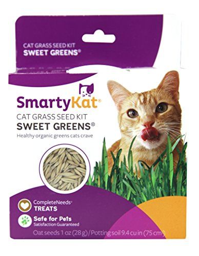 Photo 1 of ** NON EXPIRATION PRINTED **        ** NON-REFUNDABLE **       ** SOLD AS IS **          ** SETS OF 3 **
SmartyKat SweetGreens Cat Grass Kit-
