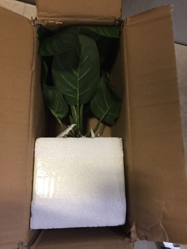 Photo 1 of Artificial House Plant