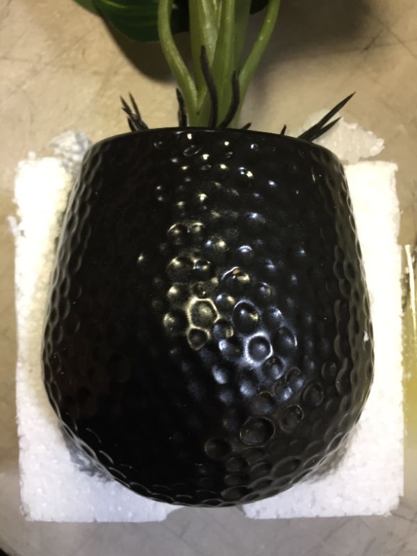 Photo 1 of Artificial House Plant