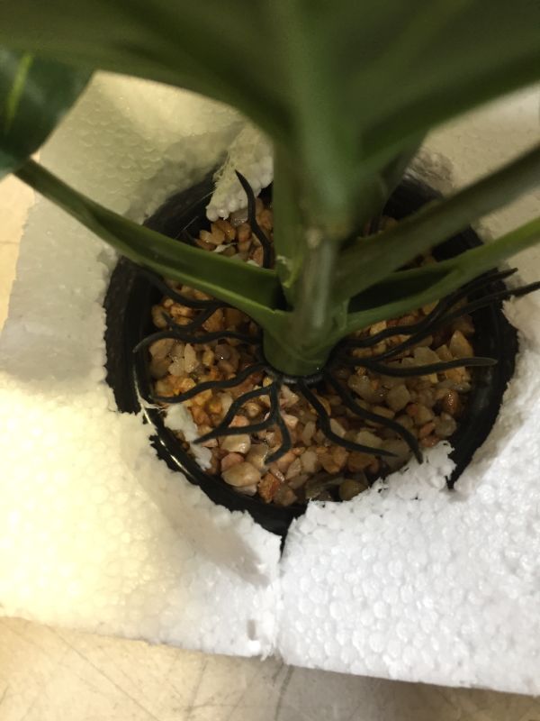 Photo 1 of Artificial House Plant