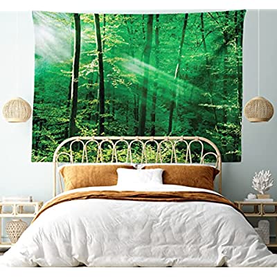 Photo 1 of Ambesonne Forest Tapestry, Sun Rays Bursting into The Forest Trees Foliage Misty Morning Serenity Picture, Wide Wall Hanging for Bedroom Living Room Dorm, 80" X 60", White Green
