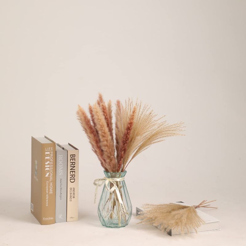 Photo 1 of 80Pcs Dried Pampas Grass Decor-20Pcs White Pampas 20Pcs Brown Pampas 20Pcs Reed Grass 20Pcs Bunny Tails Natural Dried Pampas Grass Bouquet for Flower Arrangements Boho Decor Wedding Home Decoration
