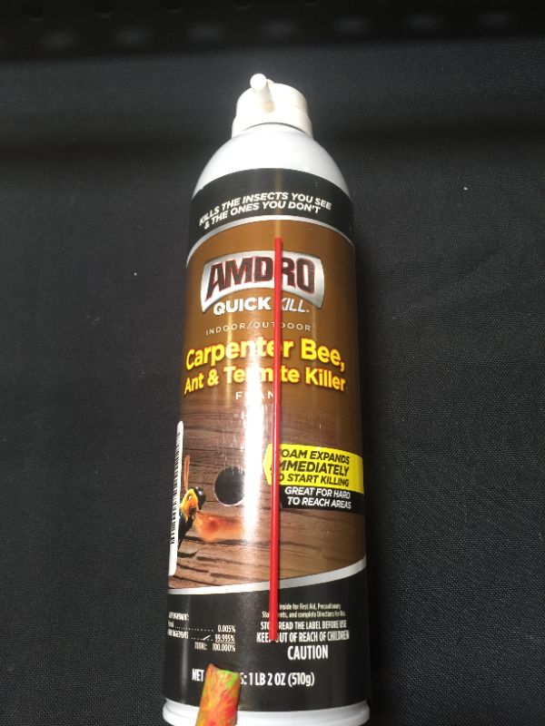 Photo 2 of Amdro 100530435 Quick Kill Carpenter Bee, Ant, and Termite Killer Foam, 18 OZ
