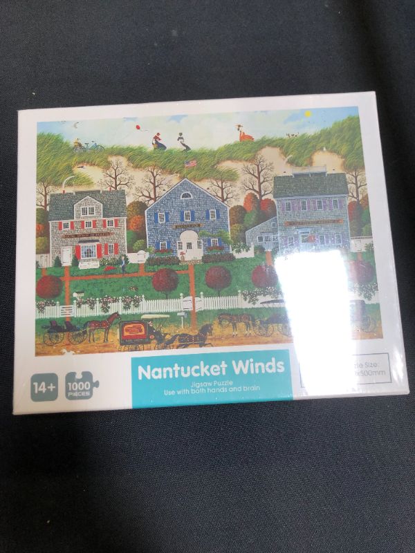 Photo 2 of Newtion 1000 PCS 30" x 20" Jigsaw Puzzles for Kids Adult -Nantucket Winds Puzzle,Educational Intellectual Decompressing Fun Game
