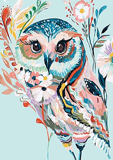 Photo 1 of GZKLSMY 5D DIY Diamond Painting Kits, Color Owl Adults Round Full Drill Paint by Number Kits Art Perfect for Relaxation and Home Wall Decor
