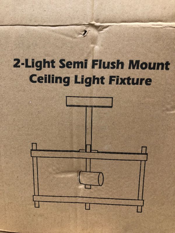 Photo 1 of 2 light semi-flush mount ceiling fixture