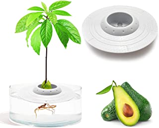 Photo 1 of Avocado Plant Starter Tray, iBayx Avocado Tree Growing Plant Bowl Garden Germinator,Cool Garden Gifts for Women,Suitable for Indoor Ladies Gardening(Plants&Bowl NOT Included) COLOR GRAY
