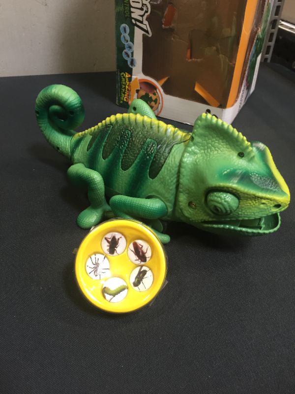 Photo 1 of CHAMELEON TOY (BATTERIES NOT INCLUDED)