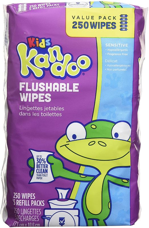 Photo 1 of Kandoo flushable Wipes for Baby & Kids, Sensitive Skin, Hypoallergenic Wet Cleansing Cloths, 250 Ct 250 count
