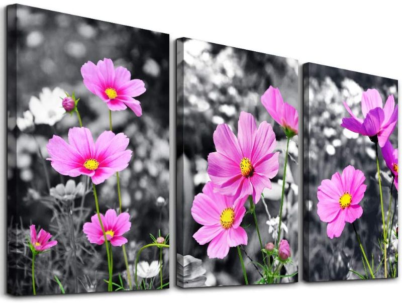 Photo 1 of Canvas Wall Art for Bedroom Wall Decor for Living Room Modern Family Bathroom Canvas Art pink Flowers Hang Pictures Artwork Black and white Wall Paintings Kitchen Home Decorations 12" x 16" 3 Pieces
