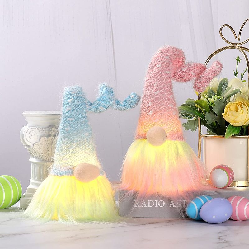 Photo 1 of  Easter Gnomes Plush Light Decorations Table Ornament, Set of 2

