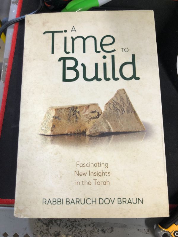 Photo 2 of A Time to Build Fascinating New Insights In The Torah Hardcover – June 7, 2021
