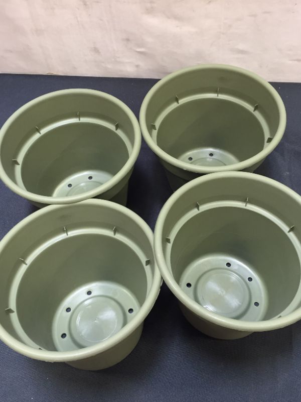 Photo 3 of Bloem DC6-42 Dura Cotta Planter, 6", Green 4 PACK 
