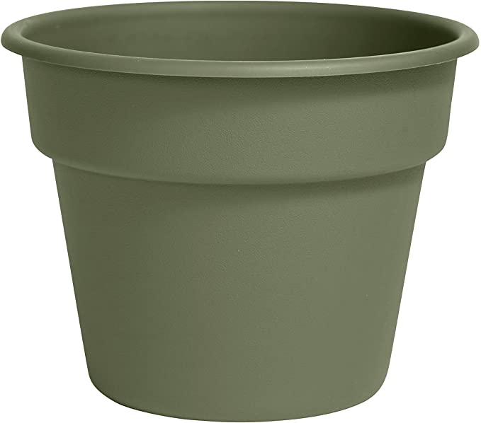 Photo 1 of Bloem DC6-42 Dura Cotta Planter, 6", Green 4 PACK 
