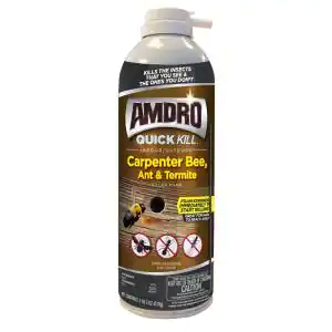 Photo 1 of 18 oz. Quick Kill Carpenter Bee, Ant, and Termite Killer Foam