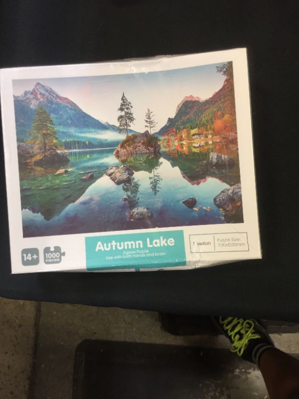 Photo 2 of 
Newtion 1000 PCS 30" x 20" Jigsaw Puzzles for Kids Adult -Autumn Lake Puzzle,Educational Intellectual Decompressing Fun Game