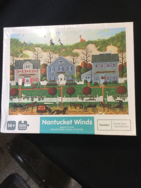 Photo 2 of 
Buffalo Games - Charles Wysocki - Nantucket Winds - 1000 Piece Jigsaw Puzzle