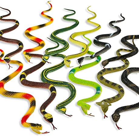 Photo 1 of Fun Scary 14 Inch Assorted Big Rainforest Snakes - 12 Count 
