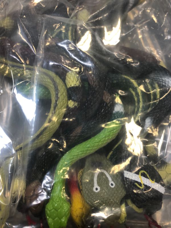 Photo 2 of Fun Scary 14 Inch Assorted Big Rainforest Snakes - 12 Count 
