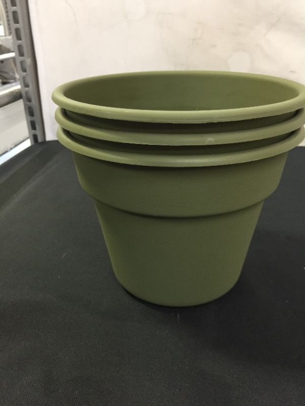 Photo 2 of Bloem DC6-42 Dura Cotta Planter, 6", Green 3 PACK