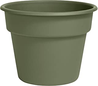 Photo 1 of Bloem DC6-42 Dura Cotta Planter, 6", Green 3 PACK