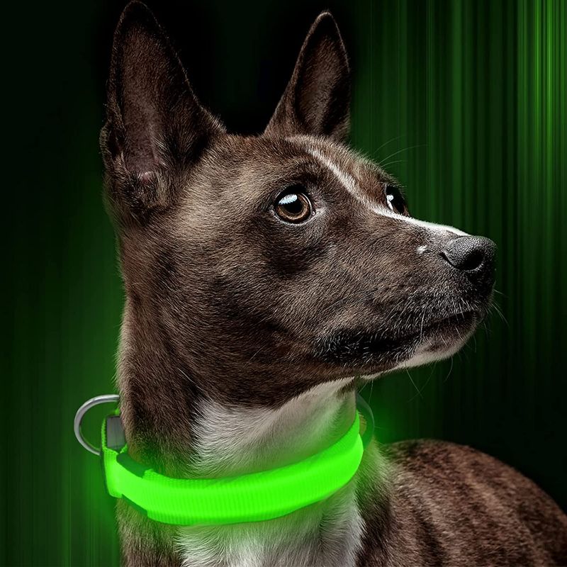 Photo 1 of 4 PACK - Illumifun LED Dog Collar, USB Rechargeable Glowing Safety Collar, Nylon Adjustable Light Up Collar Make Your Dog Be Visible& Safe in The Dark