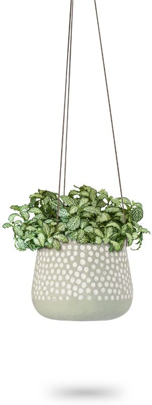 Photo 1 of Hanging Planter for Indoor Plants, White Concrete Pots, Round Air Succulent Holder Container, Cactus Pot with Rope Hanger, 23 Bees (1, Shades of Nature (Green))
