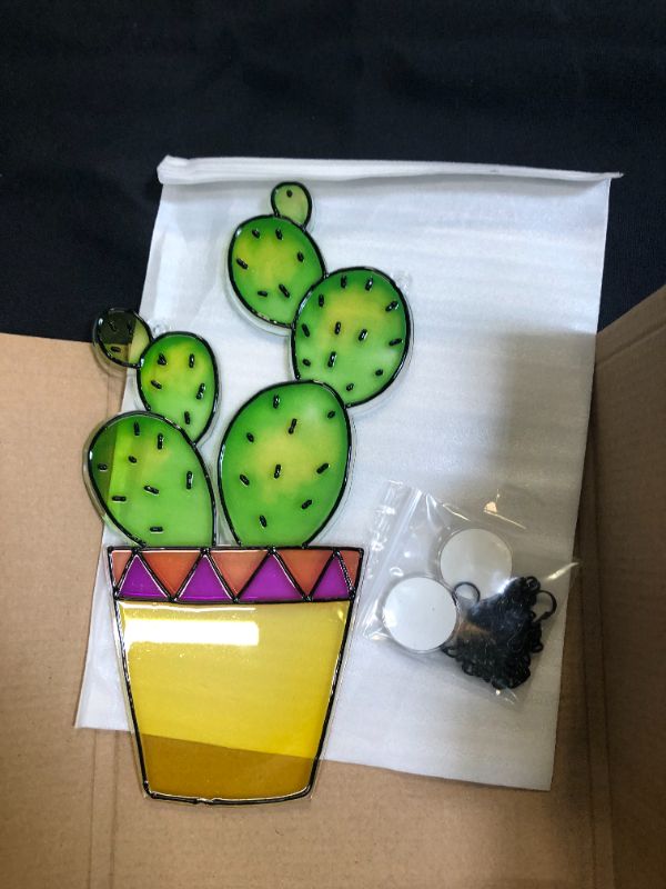 Photo 1 of cactus art piece 