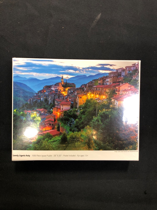 Photo 1 of 1000pc jigsaw puzzle 