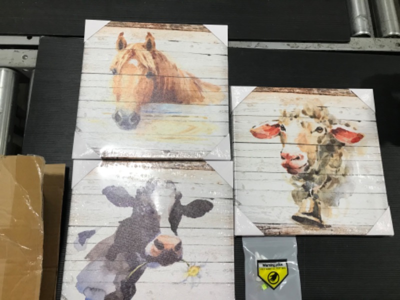 Photo 1 of 3PACK FARM ANIMAL CANVAS