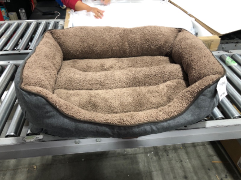 Photo 1 of 22x17 inch Brown Dog Bed 