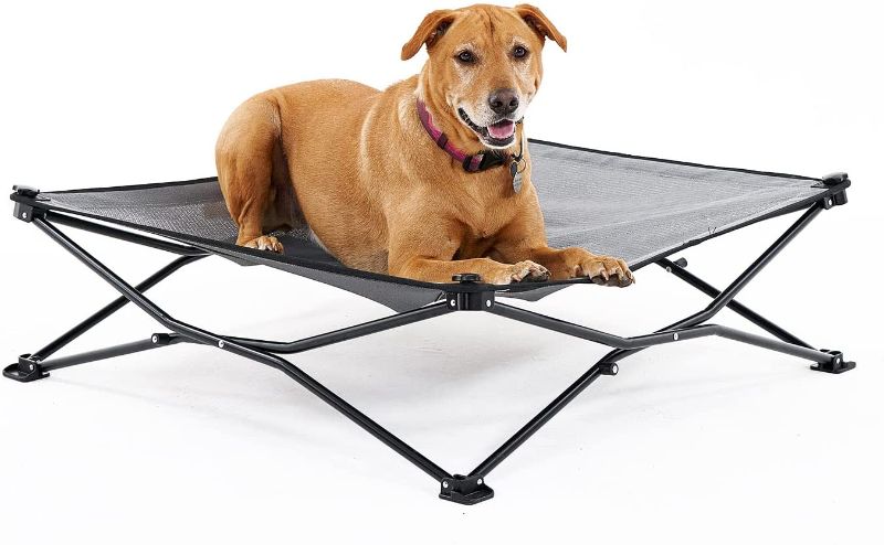 Photo 1 of Coolaroo On The Go Elevated Pet Bed, Large, Grey
