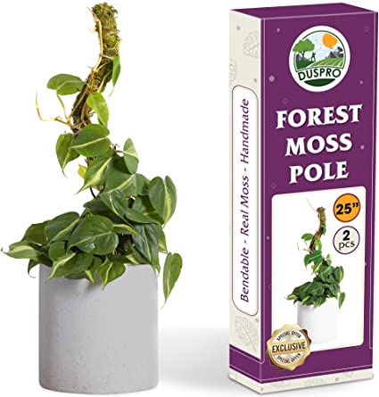 Photo 1 of Duspro 2 Pack 25 Inch Real Moss Pole for Monstera Bendable Plant Stakes, Sphagnum Handmade Slim Forest Moss Stick, Potted Plants Support/Totem Perfect for Small/Medium Climbing Plants Indoor
