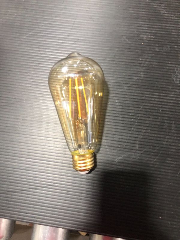 Photo 2 of 60-Watt Equivalent ST19 Straight Filament Dusk to Dawn Amber Glass E26 Vintage Edison LED Light Bulb, Warm White
