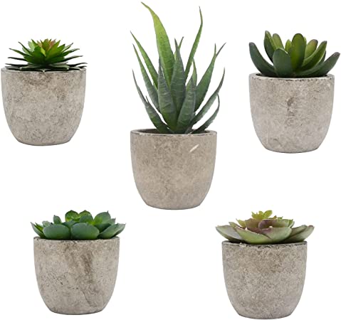 Photo 1 of Artificial Succulent Plants,Mini Assorted Fake Succulents with Gray Pots Set of 5 for Home Decor Indoor
