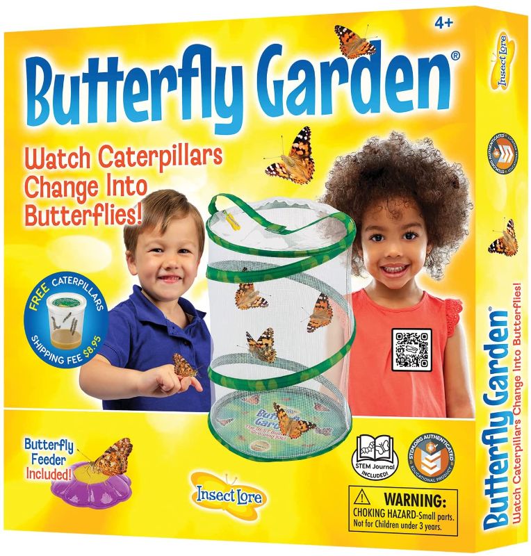 Photo 1 of Insect Lore - Butterfly Growing Kit - With Voucher to Redeem Caterpillars Later
