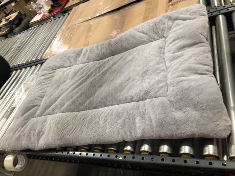 Photo 1 of 46in x 29in grey dog bed