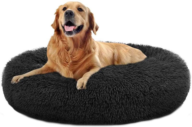 Photo 1 of Black dog bed