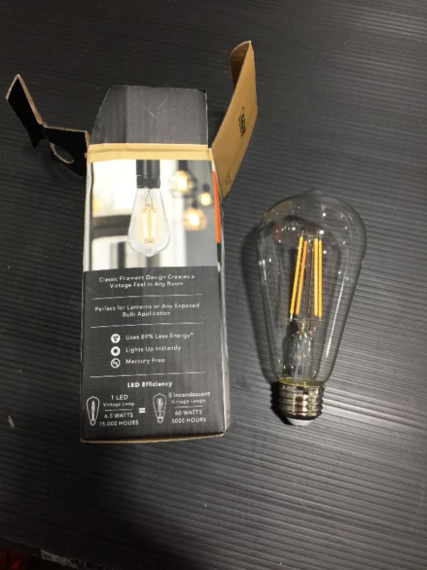 Photo 2 of 60-Watt Equivalent ST19 Straight Filament Dusk to Dawn Clear Glass E26 Vintage Edison LED Light Bulb, Warm White
