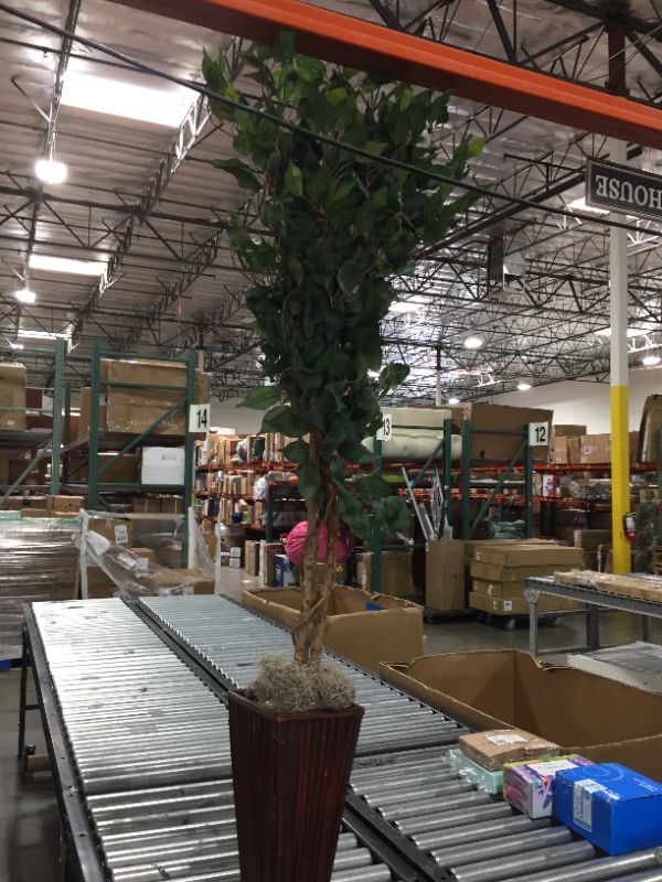Photo 1 of 5 foot Artificial Tree 