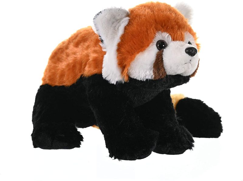 Photo 2 of Wild Republic Red Panda Plush, Stuffed Animal, Plush Toy, Kids Gifts, Cuddlekins, 12 Inches